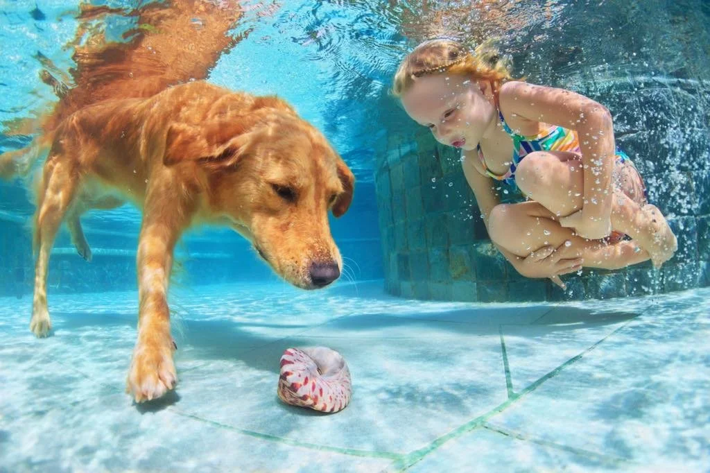 Chien et enfant partageant un moment de complicité